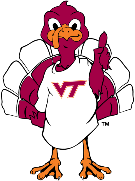 Virginia Tech Hokies 2000-Pres Mascot Logo v3 diy iron on heat transfer